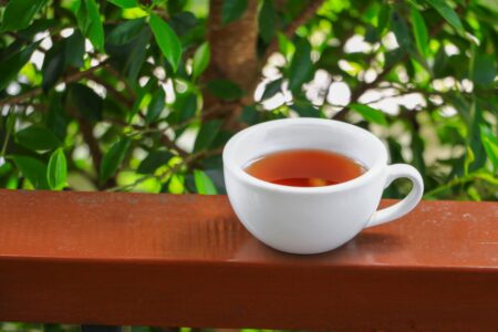 7 beneficios incriveis do cha de boldo para a saude