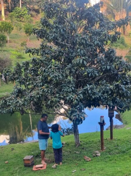 dias florestal um compromisso sustentavel que passa de pai para filho
