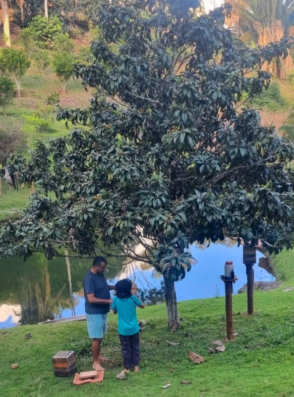 Dias Florestal: Um Compromisso Sustentável que Passa de Pai para Filho dias florestal um compromisso sustentavel que passa de pai para filho