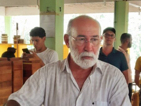 ifes campus santa teresa abre inscricoes para 5a capacitacao em meliponicultura oportunidade imperdivel para iniciantes