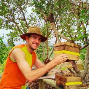 O Poder das Abelhas Nativas na Produção de Café: Relatos de Cafeicultores Capixabas