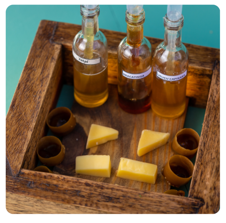 Mel Nativo: Uma Revolução na Gastronomia com Chefs Kaleb Times, Duaine Clements e o Meliprodutor André Luiz Litzinger mel nativo uma revolucao na gastronomia com chefs kaleb times duaine clements e o meliprodutor andre luiz litzinger