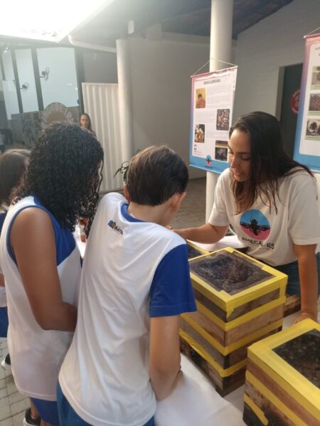 abelhas nativas sem ferrao conhecimento e preservacao no colegio batista de aracruz