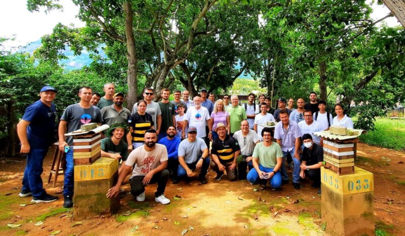Meliponicultura: Uma Experiência Transformadora no Ifes Santa Teresa meliponicultura uma experiencia transformadora no ifes santa teresa