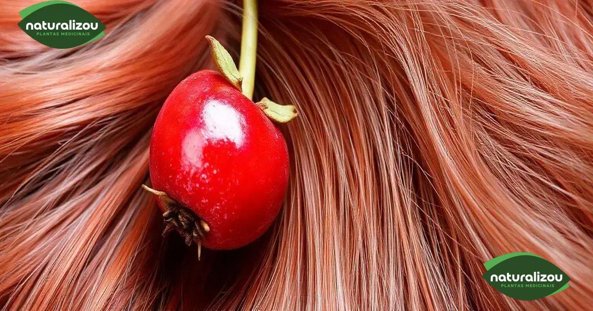 Acerola e suas propriedades antioxidantes