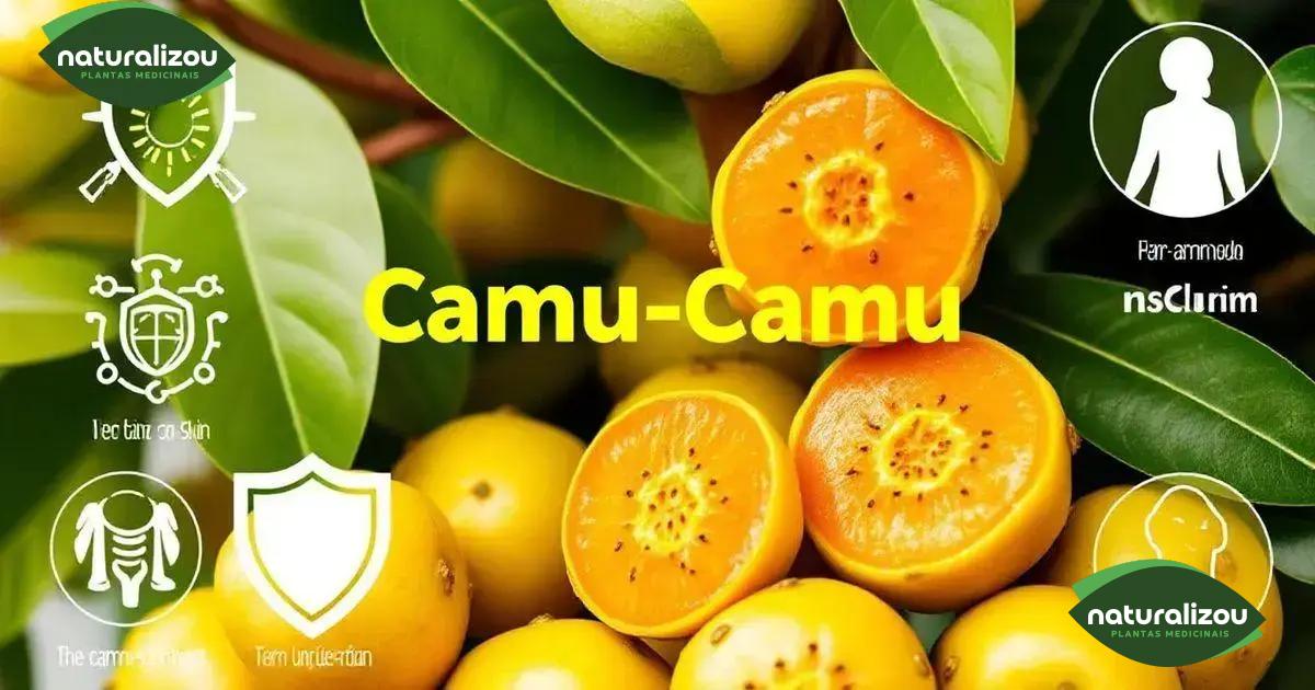 Benefícios do camu-camu para a vitamina C