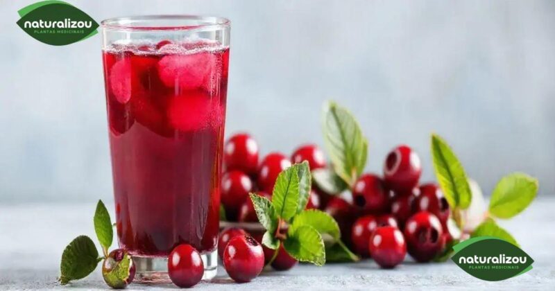 Benefícios do Cranberry para Prevenir Infecções Urinárias: Descubra Como!