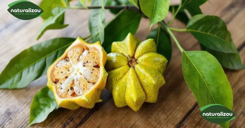 Como a carambola pode ajudar na saúde dos rins e melhorar seu bem-estar