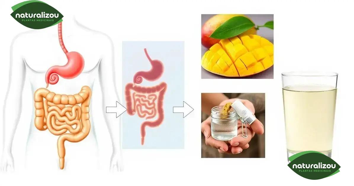 Como a manga pode ajudar na saúde digestiva