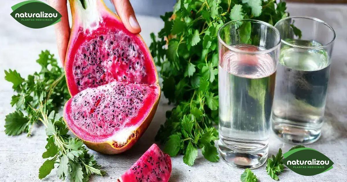 Como a pitaya ajuda na desintoxicação do fígado