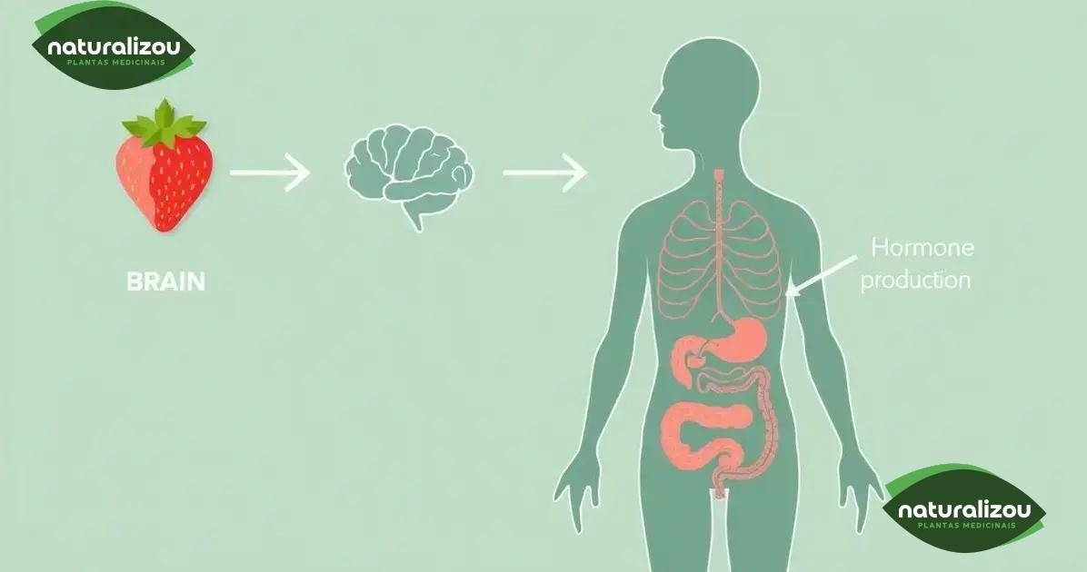 Como o morango age no organismo