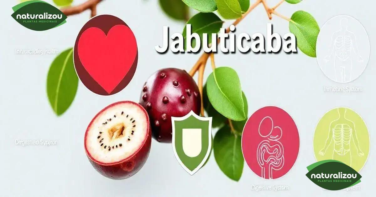 Outros benefícios da jabuticaba para a saúde