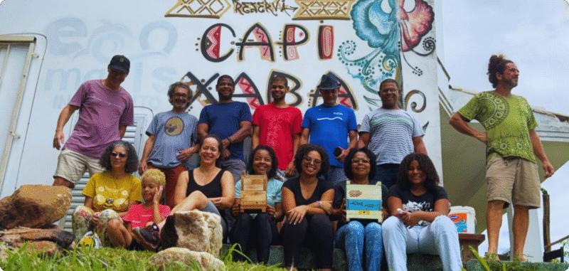 Projeto Guananira: Meliponicultura e Sustentabilidade Transformam Comunidades em Vitória projeto guananira meliponicultura e sustentabilidade transformam comunidades em vitoria