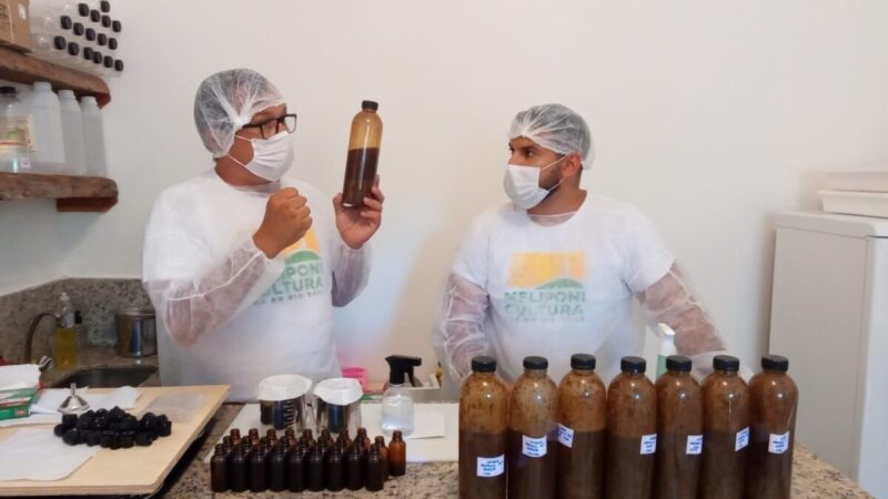 Própolis de Abelhas Nativas Sem Ferrão: Saúde