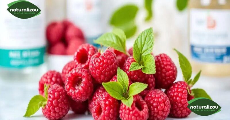 Uso da framboesa porquê antioxidante originário: descubra seus benefícios para a pele Uso da framboesa como antioxidante natural: descubra seus benefícios para a pele