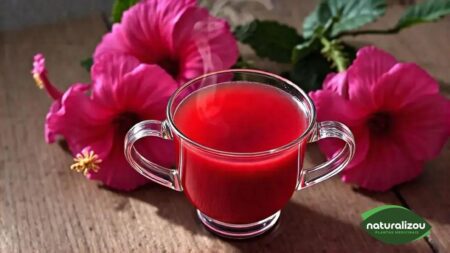 Chá de Hibisco: Benefícios e Receitas que Você Precisa Conhecer