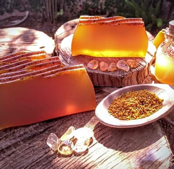 Mulheres na Meliponicultura