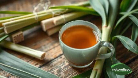 Chá de Capim Santo: Benefícios Incríveis para a Saúde