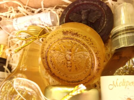 curso com dra genna sousa ensina a criar cosmeticos naturais com produtos das abelhas sem ferrao