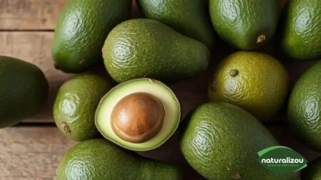Abacates verdes maduros: descubra seus benefícios surpreendentes