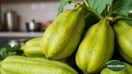 Chuchu orgânico leve: descubra seus benefícios surpreendentes