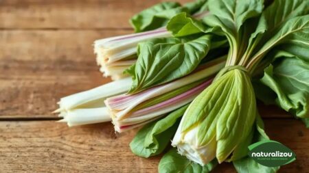 Endívias orgânicas folhas: descubra os benefícios para sua saúde