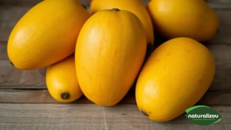 Mangas amarelas doces: descubra seus benefícios surpreendentes