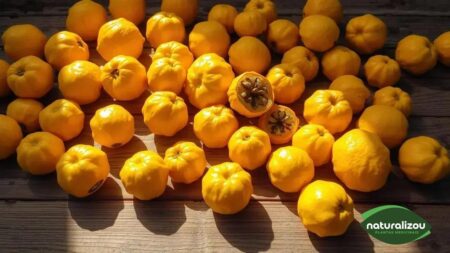 Maracujás amarelos intensos: descubra seus benefícios incríveis