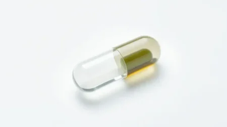 Vitamina B12 Nutrify: Vale a Pena em 2025?