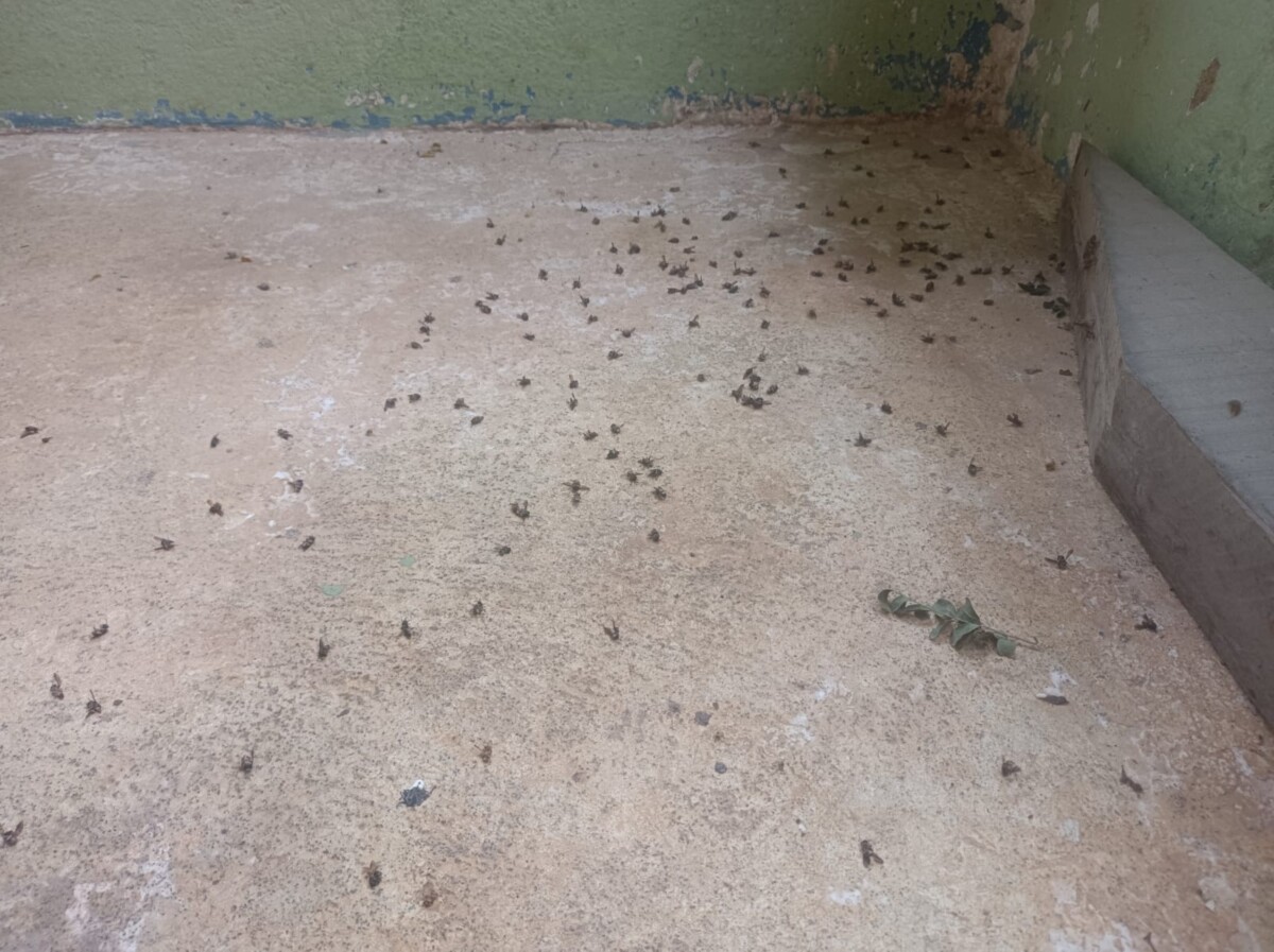 WhatsApp Image 2025 08 19 at 18.53.47 1