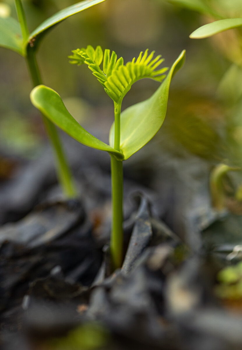 Andre Alves Fotografia 34