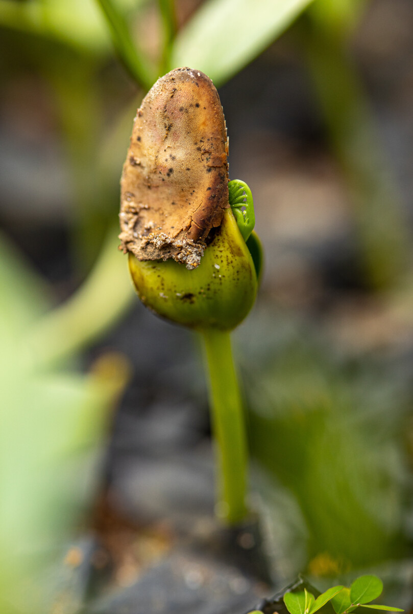 Andre Alves Fotografia 35