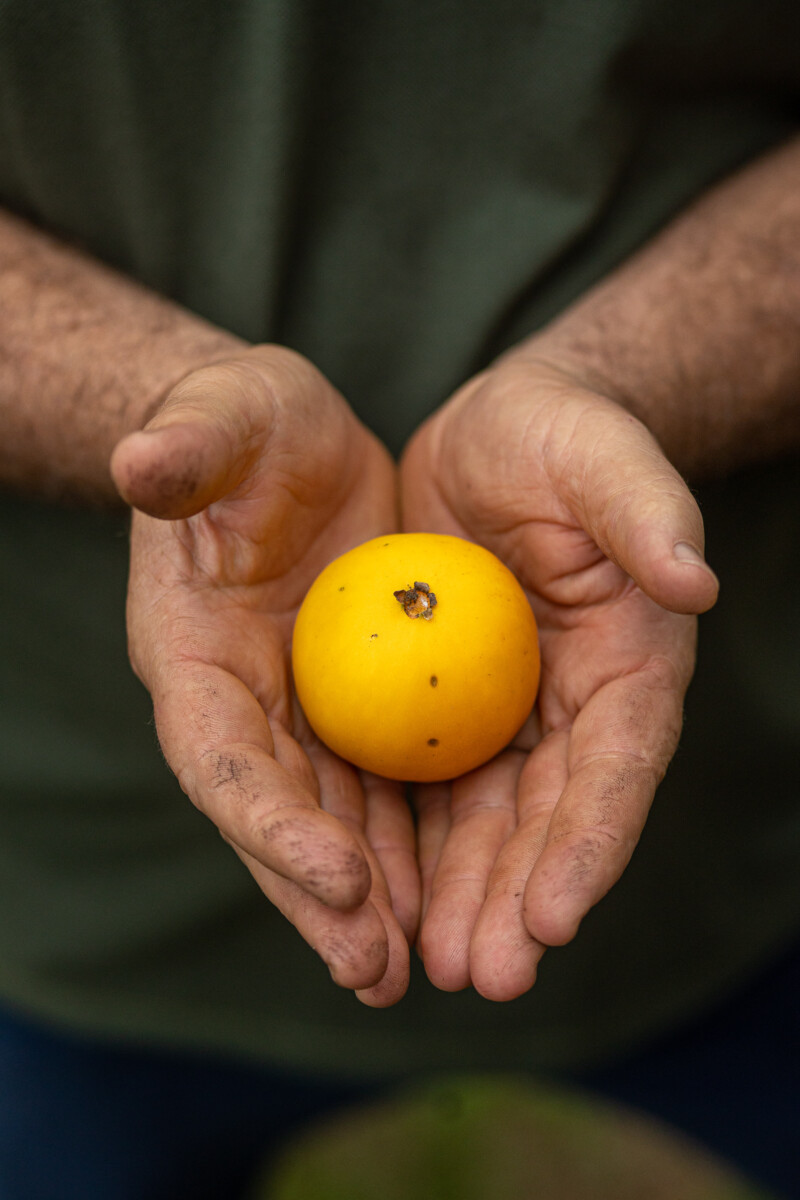 Andre Alves Fotografia 4