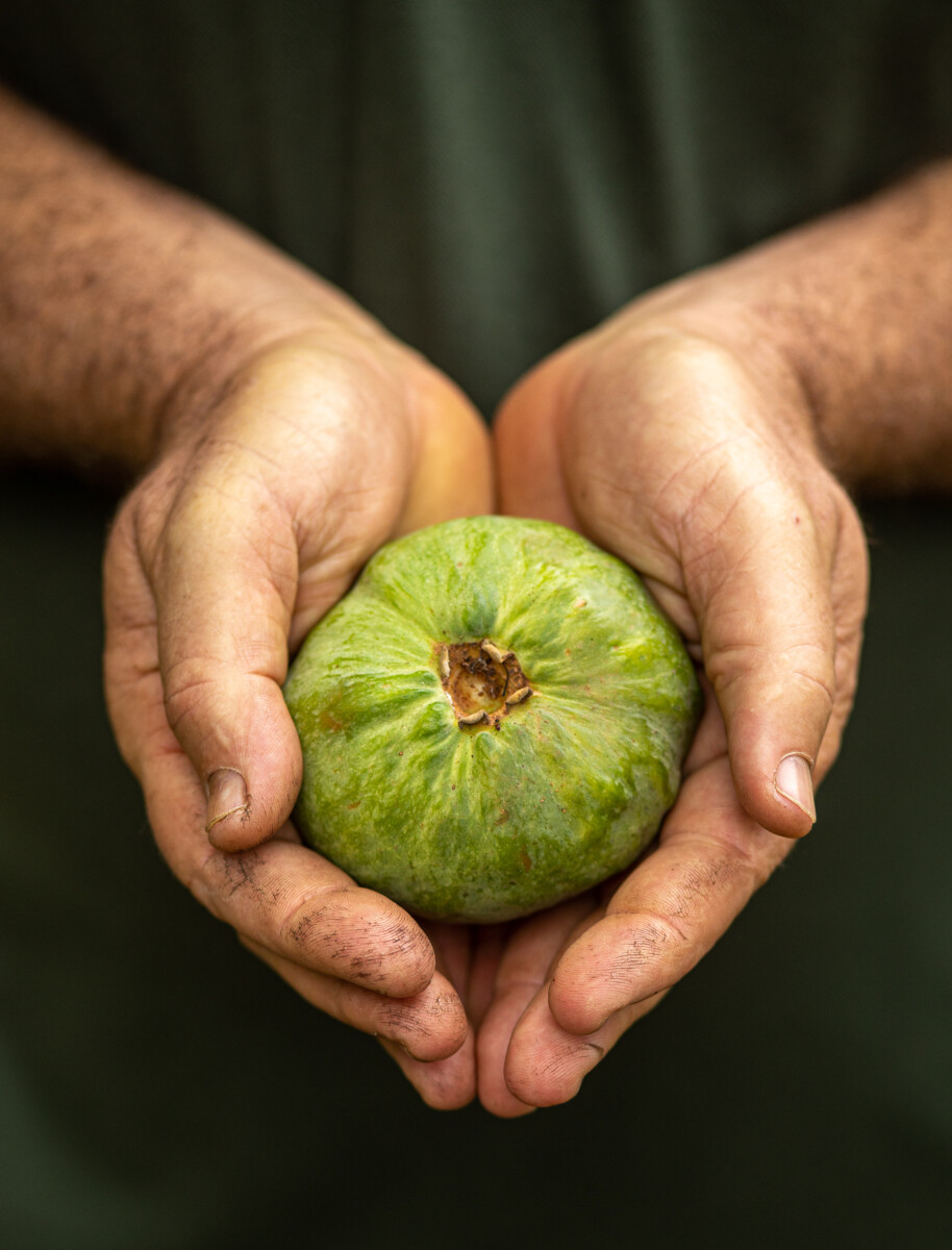 Andre Alves Fotografia 7