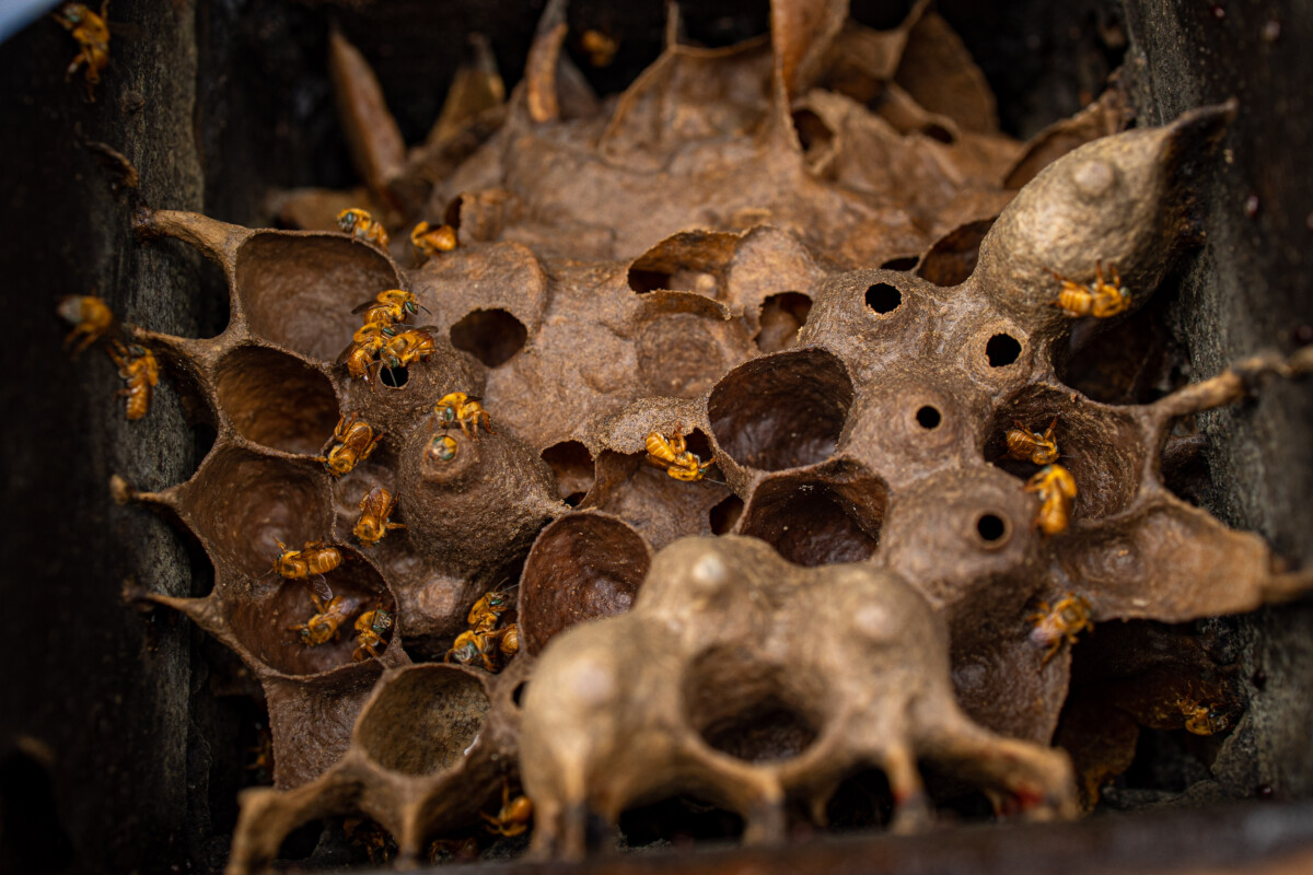 Andre Alves Fotografia 8