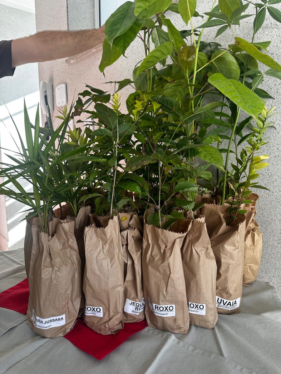 WhatsApp Image 2025 07 07 at 21.39.27