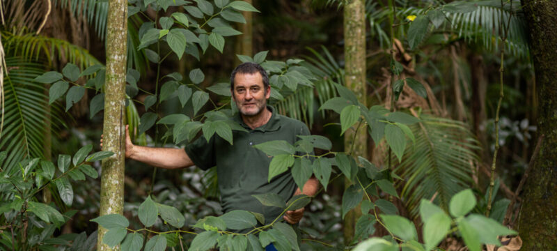 semear para florescer a jornada de adenilson panzin pela biodiversidade capixaba