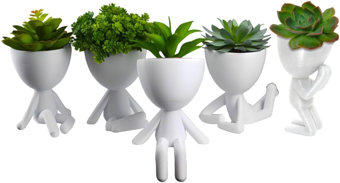 Imagem frontal de vasos e plantas com fundo branco e neutro.