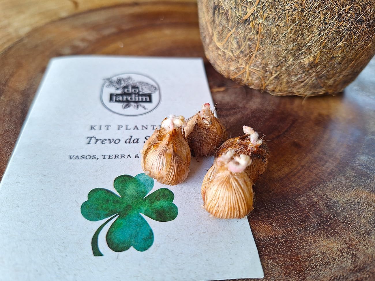 Imagem superior sobre uma superfície de madeira.