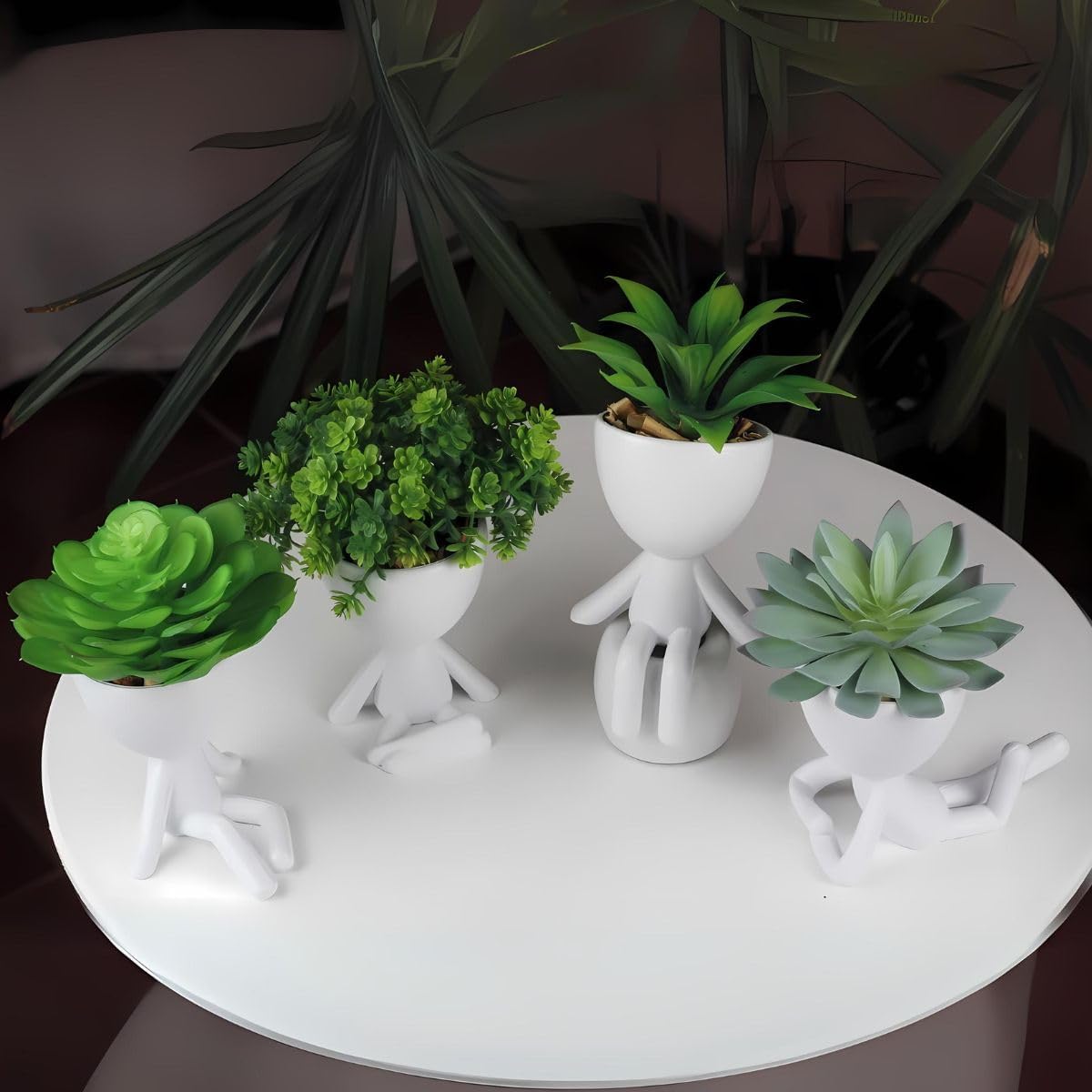 Imagem superior de plantas em um ambiente interno desfocado.