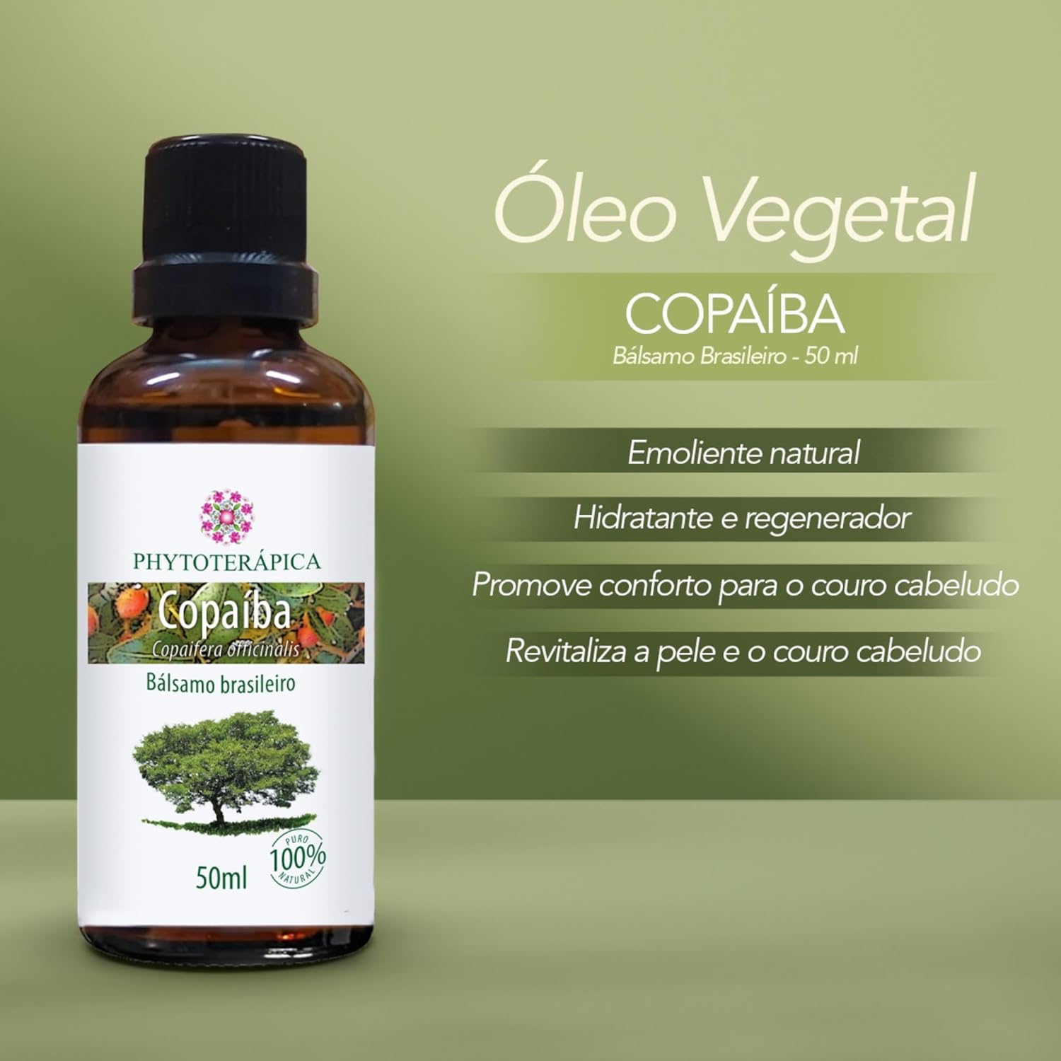 Imagem frontal com fundo em degradê verde claro.