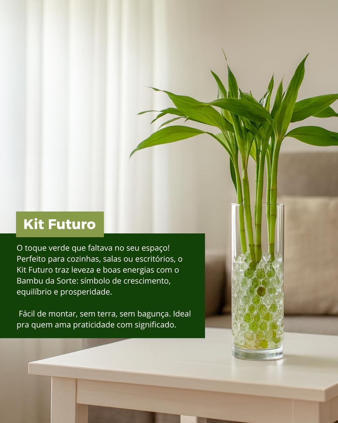 Imagem frontal do vaso em um ambiente claro com sofá.