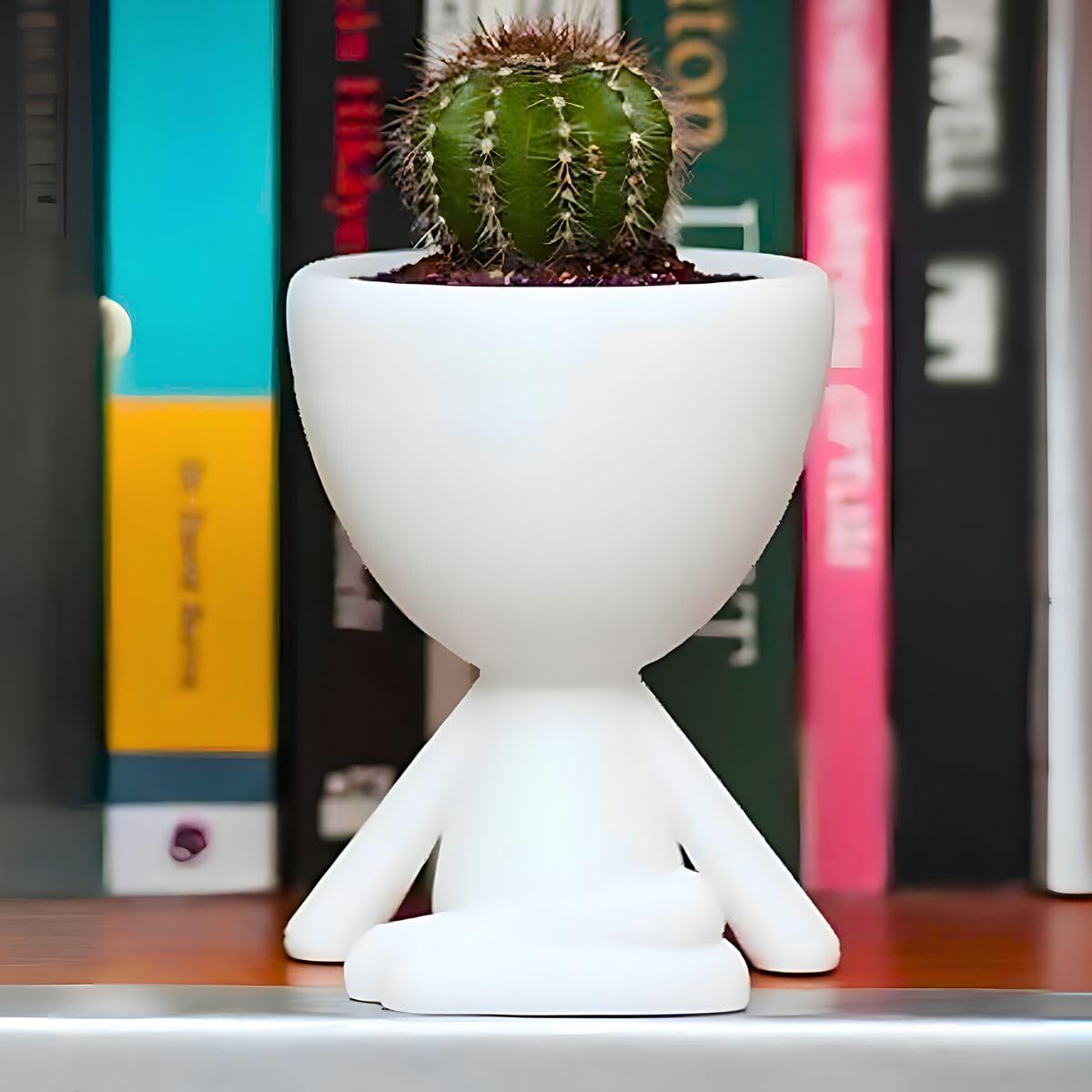 Imagem lateral de vasos de plantas com fundo de estante de livros coloridos.