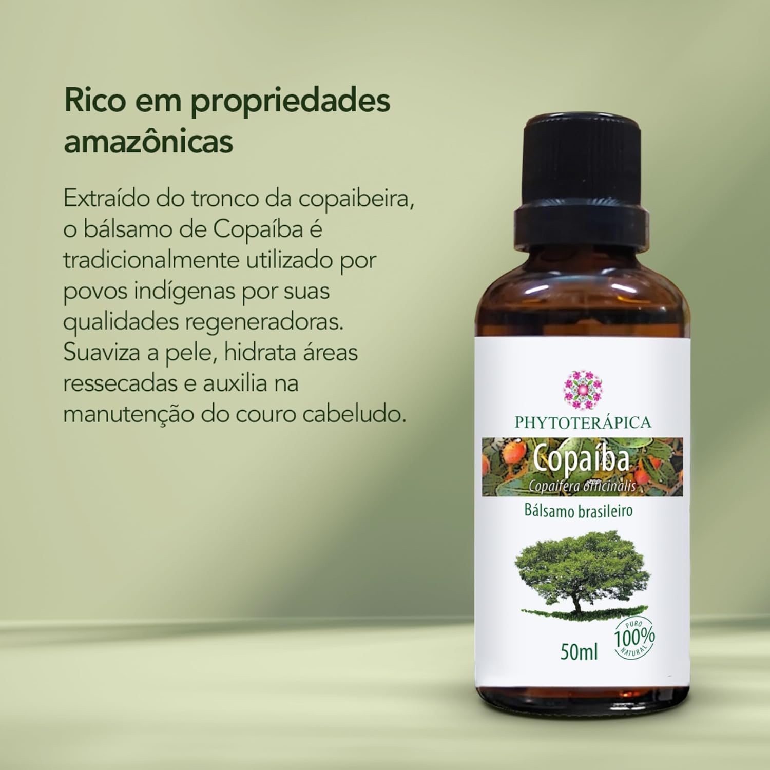 Imagem frontal com fundo em tom verde suave.