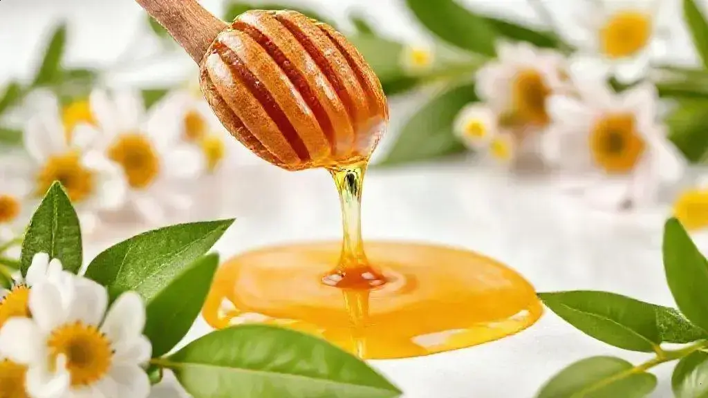 benefícios das propriedades antibacterianas do mel benefícios das propriedades antibacterianas do mel