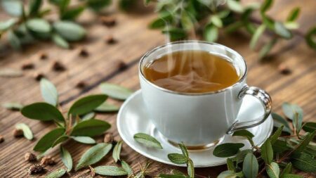 chá de louro serve para que — 7 benefícios surpreendentes, como usar e quando evitar chá de louro serve para que — 7 benefícios surpreendentes, como usar e quando evitar