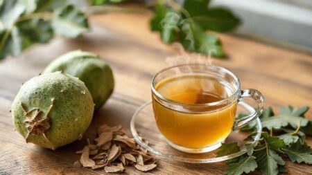 chá de melão são caetano: descubra benefícios reais, riscos e como usar já chá de melão são caetano: descubra benefícios reais, riscos e como usar já