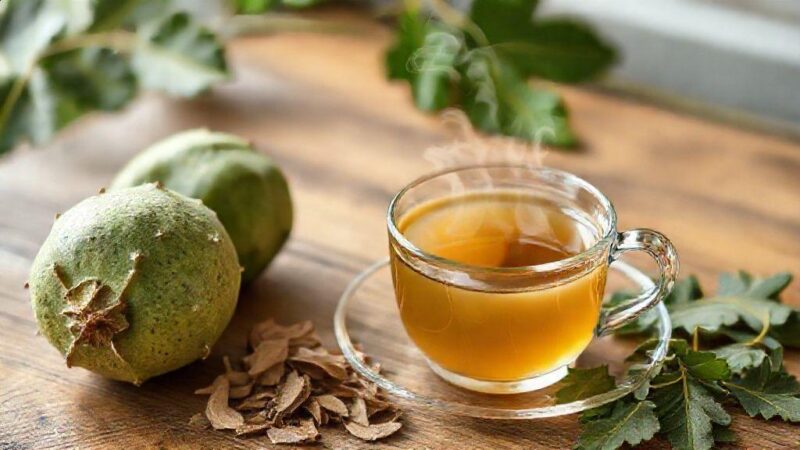 chá de melão são caetano: descubra benefícios reais, riscos e como usar já