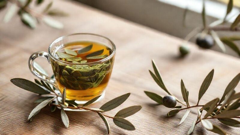chá de oliveira emagrece: descubra o método natural que acelera perda de gordura