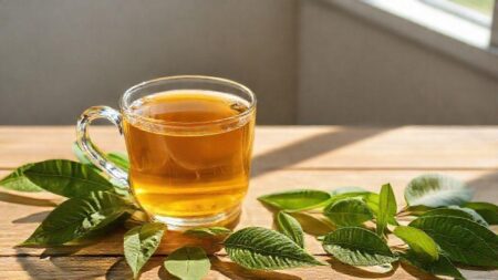 chá de pariparoba; descubra como protege o fígado, pele e reduz inchaço chá de pariparoba; descubra como protege o fígado, pele e reduz inchaço